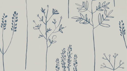 Stipa 112019